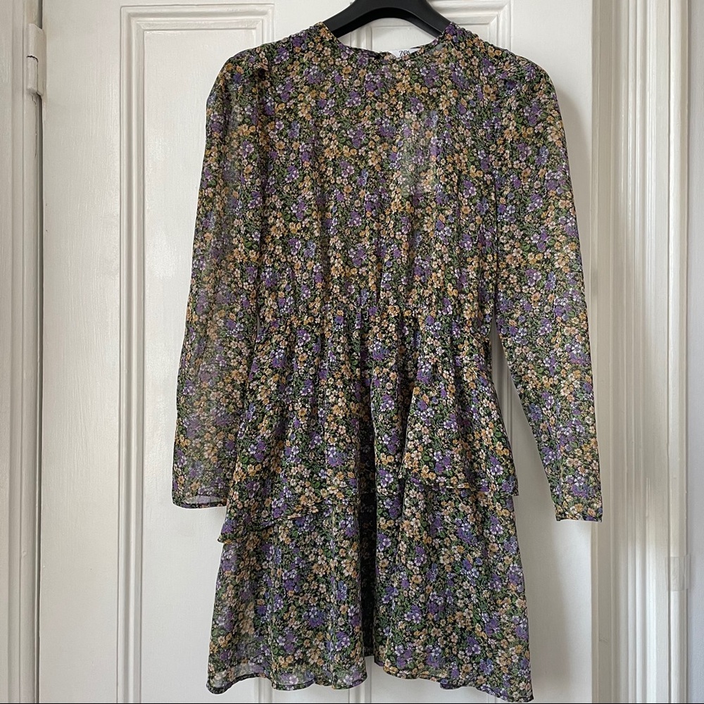 Zara Woman Sheer Floral Dress